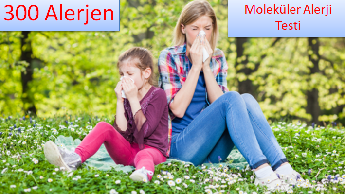 Moleküler Alerji Testi Nedir? 300 Alerjenle Kapsamlı Alerji Analizi